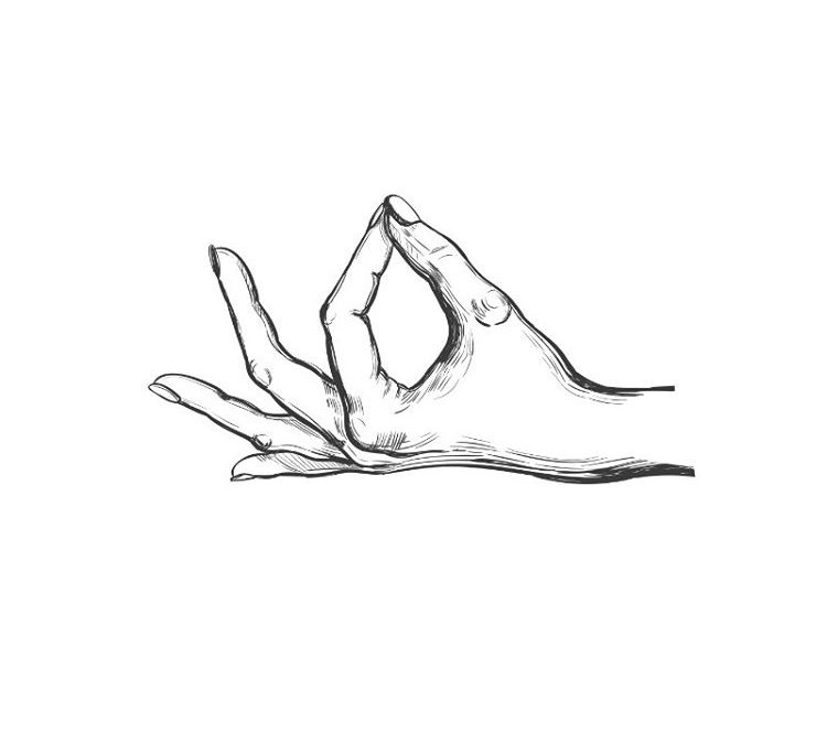 Premium Vector  Mudra  shuni or shoonya hands vector illustration  yogic hand gesture black and white linear st